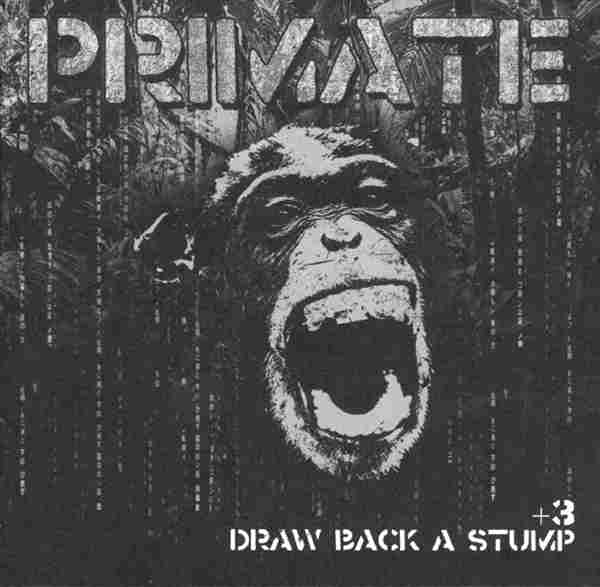 DRAW BACK A STUMP
