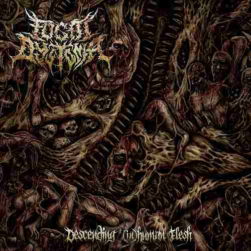 DESCENDING IN HUMAN FLESH