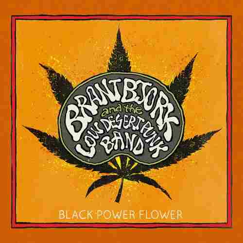 BLACK POWER FLOWER