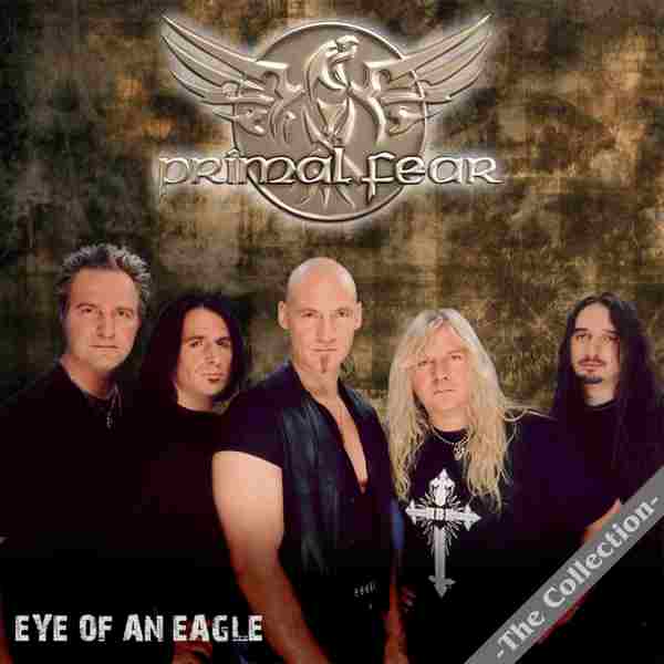 EYE OF AN EAGLE