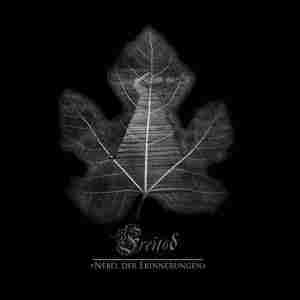 NEBEL DER ERINNERUNGEN