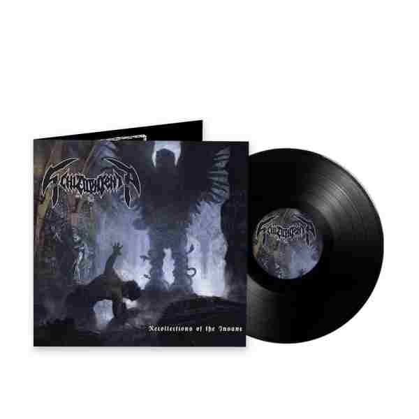 RECOLLECTIONS OF THE INSANE