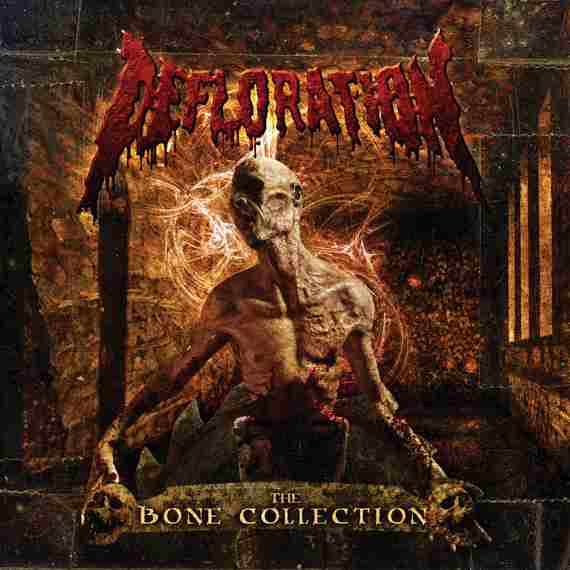 THE BONE COLECTION