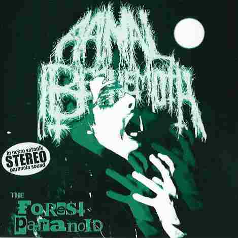THE FOREST PARANOID