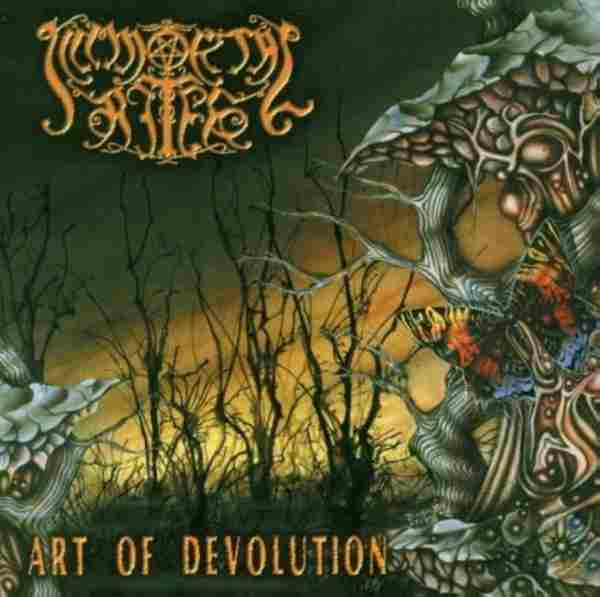 ART OF DEVOLUTION