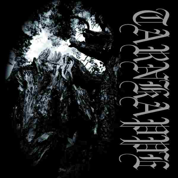 TUSSEN HUN EN DE ZON