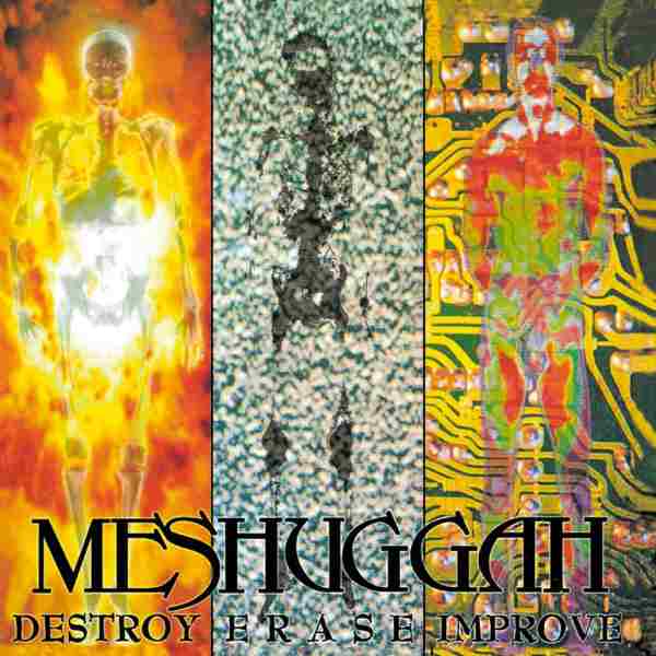 DESTROY ERASE IMPROVE