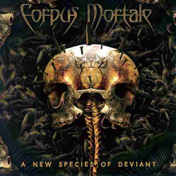 A NEW SPECIES OF DEVIANT