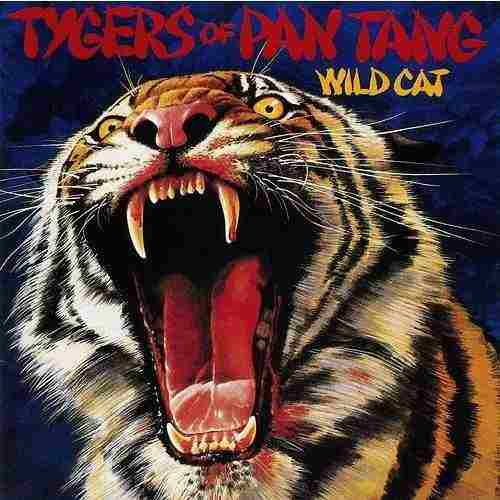 WILD CAT