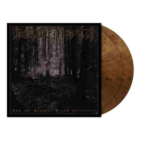 AND THE FORESTS DREAM ETERNALLY