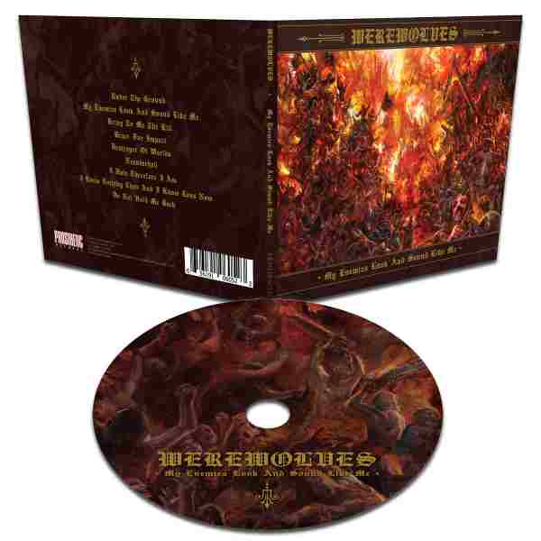 MY ENEMIES LOOKS AND SOUND LIKE ME