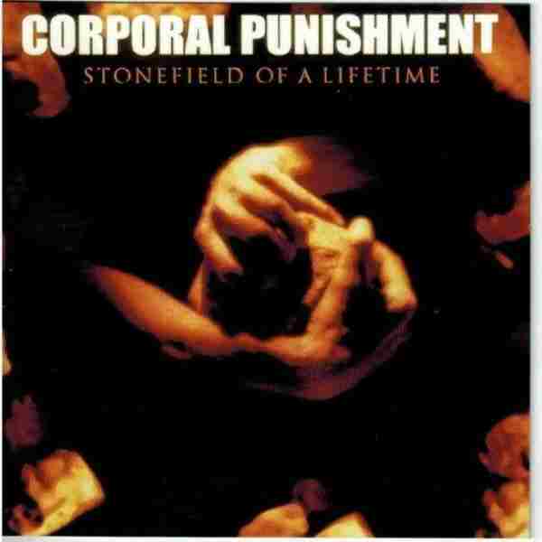 STONEFIELD OF A LIFETIME