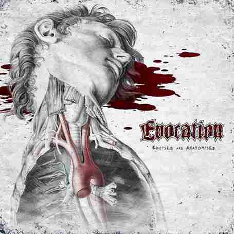 EXCISED AND ANATOMISED